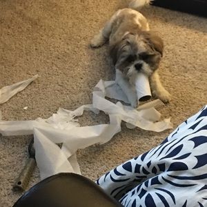 Meet your Posher, Jay